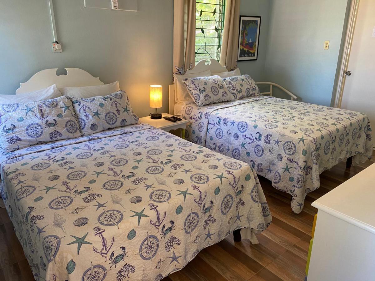 The Blue Orchid B&B Montego Bay Eksteriør billede