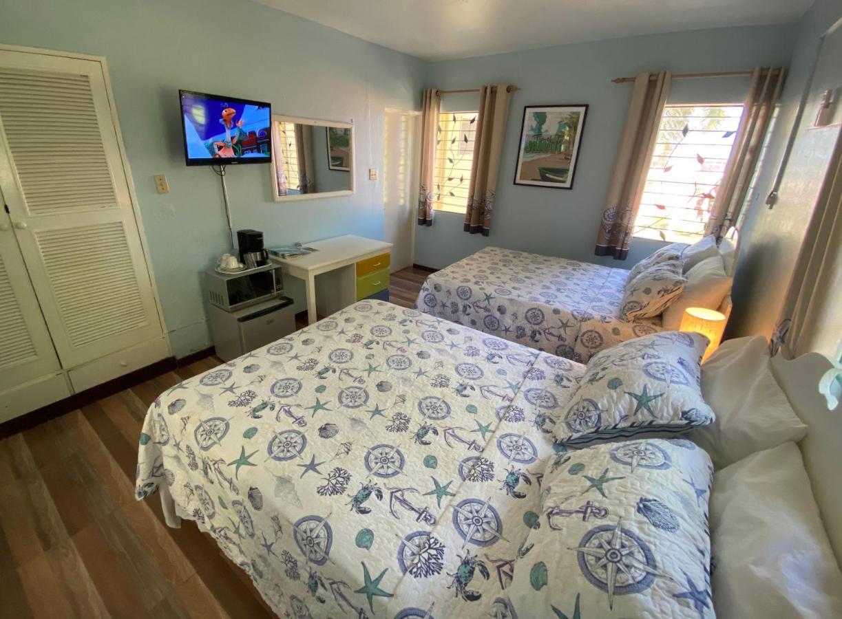 The Blue Orchid B&B Montego Bay Eksteriør billede