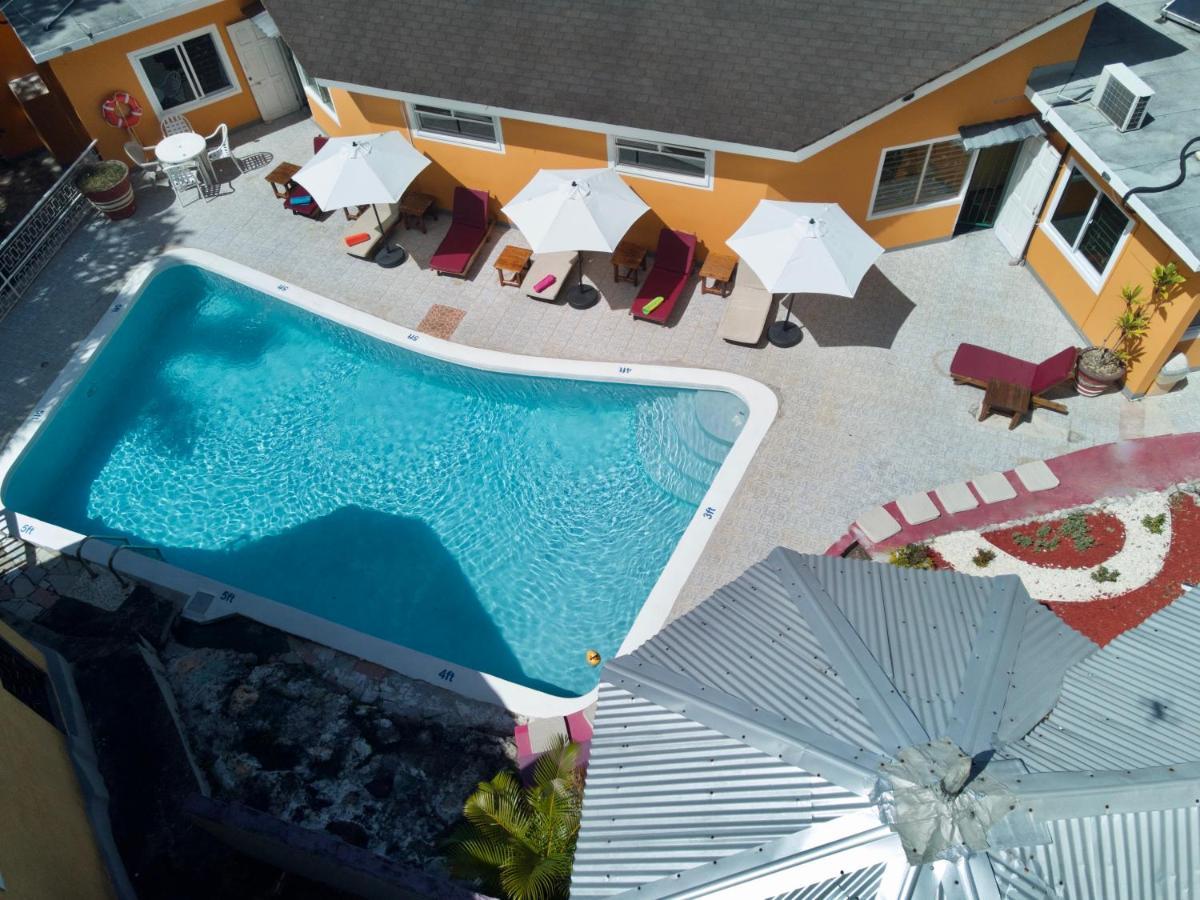 The Blue Orchid B&B Montego Bay Eksteriør billede