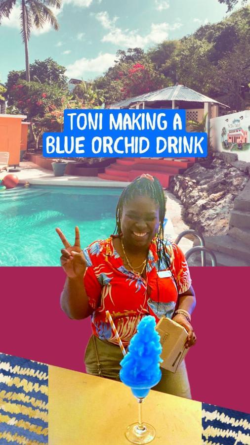 The Blue Orchid B&B Montego Bay Eksteriør billede